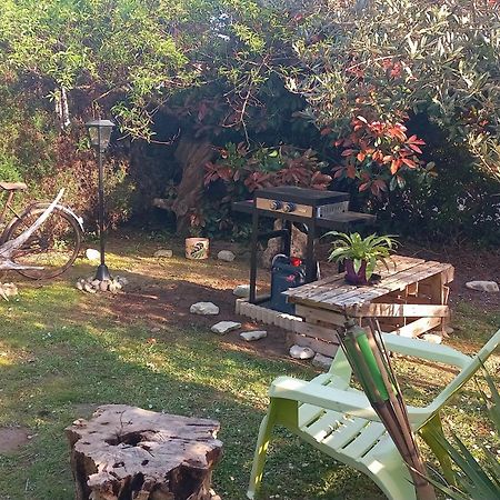 Studio Nature Et Beauregard 30M2 En Duplex Proche Lac, Cures Thermales Et Commerces Saint-Paul-lès-Dax Kültér fotó